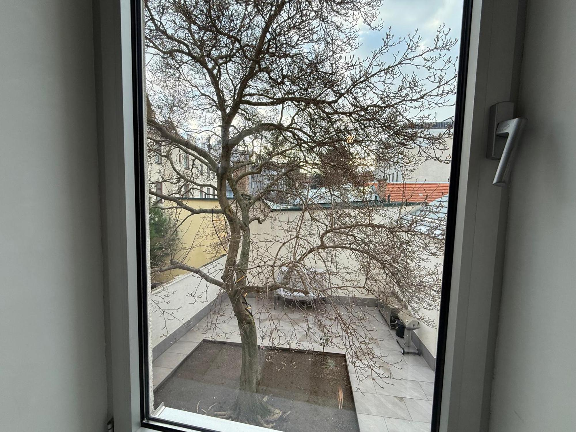 Apartment Number 4 Vienna Luaran gambar